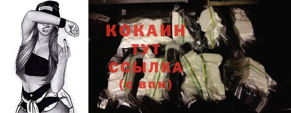 mix Бородино