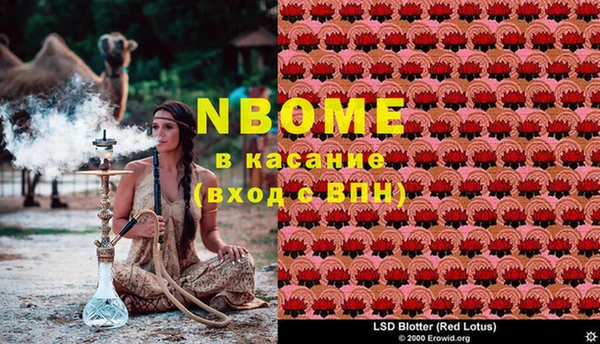 ПСИЛОЦИБИНОВЫЕ ГРИБЫ Бугульма